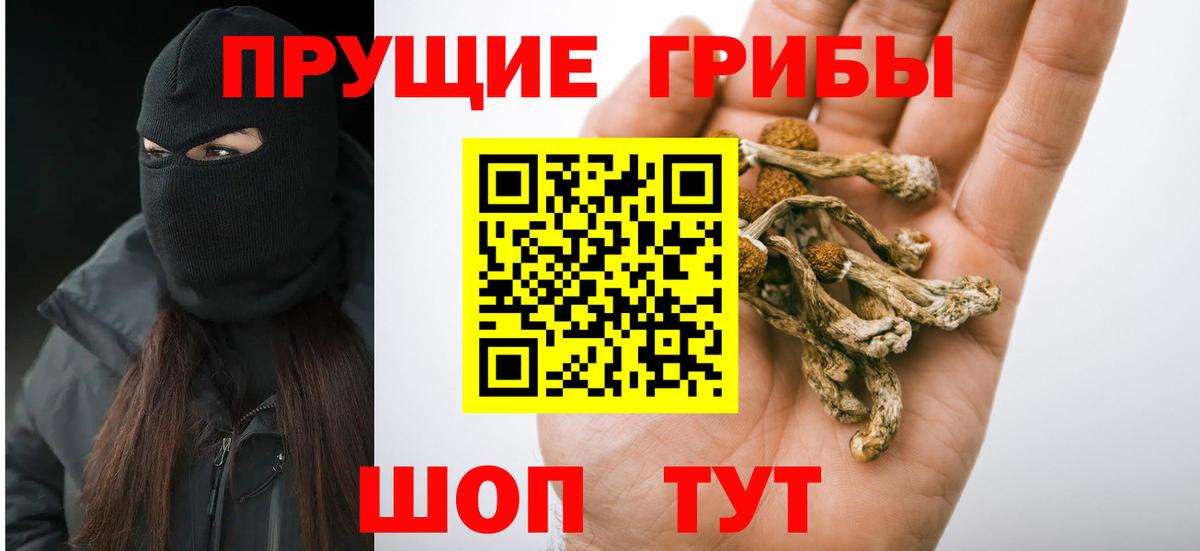 Псилоцибиновые грибы мухоморы  Галлюциногенные грибы Cubensis  Ялуторовск  цена   Вход с VPN 